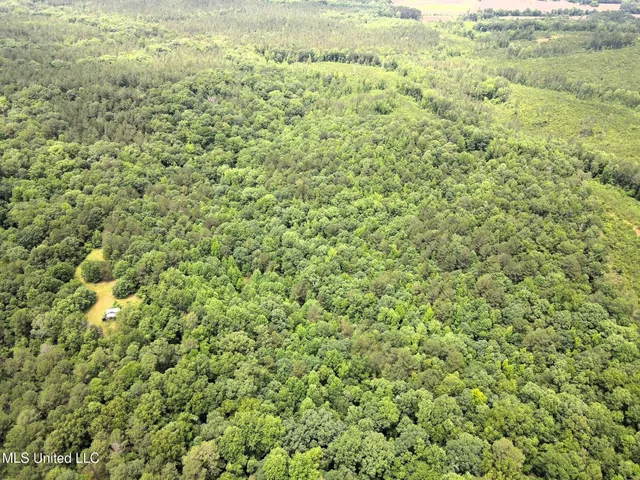 $118,000 | Tbd Pepper Town Road, Eupora, MS 39744