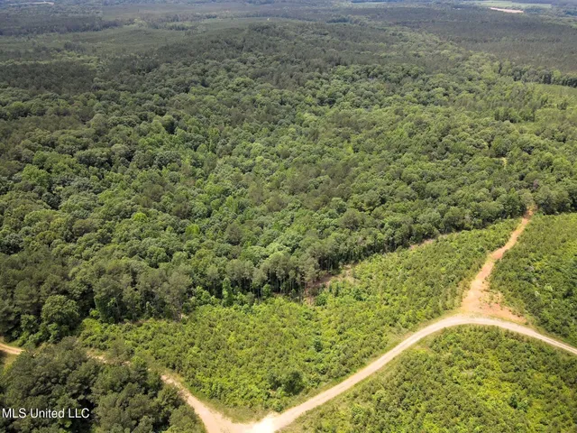 $118,000 | Tbd Pepper Town Road, Eupora, MS 39744