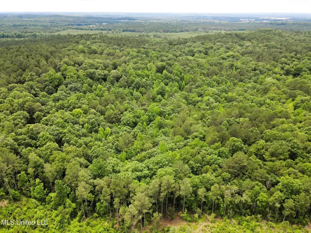 $118,000 | Tbd Pepper Town Road, Eupora, MS 39744