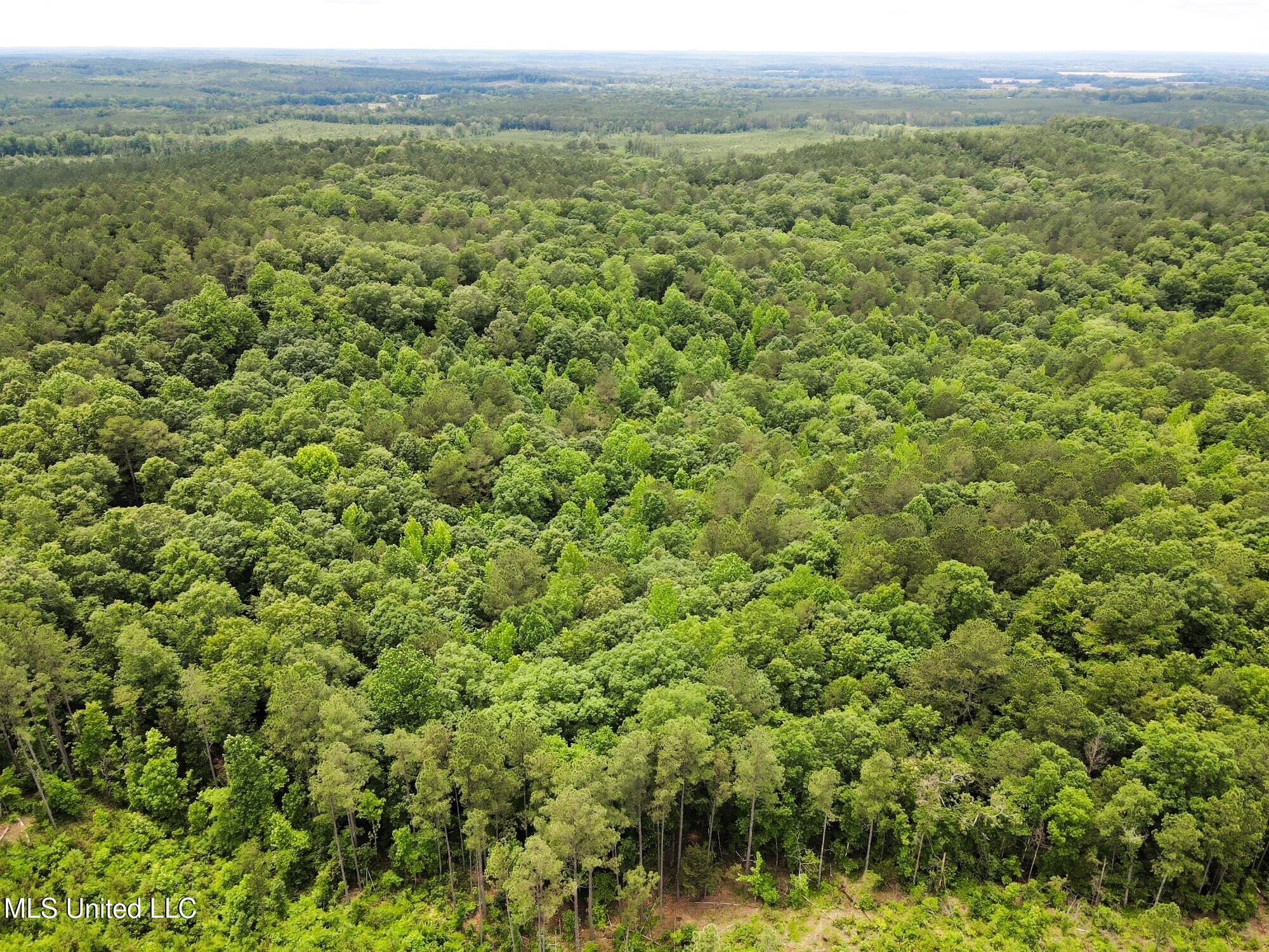 Tbd Pepper Town Road Eupora, MS 39744 - Photo 14 of 18 24