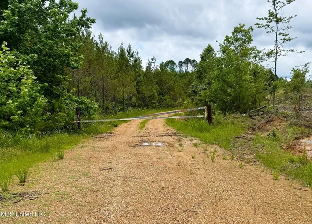 $118,000 | Tbd Pepper Town Road, Eupora, MS 39744