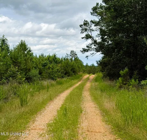 $118,000 | Tbd Pepper Town Road, Eupora, MS 39744