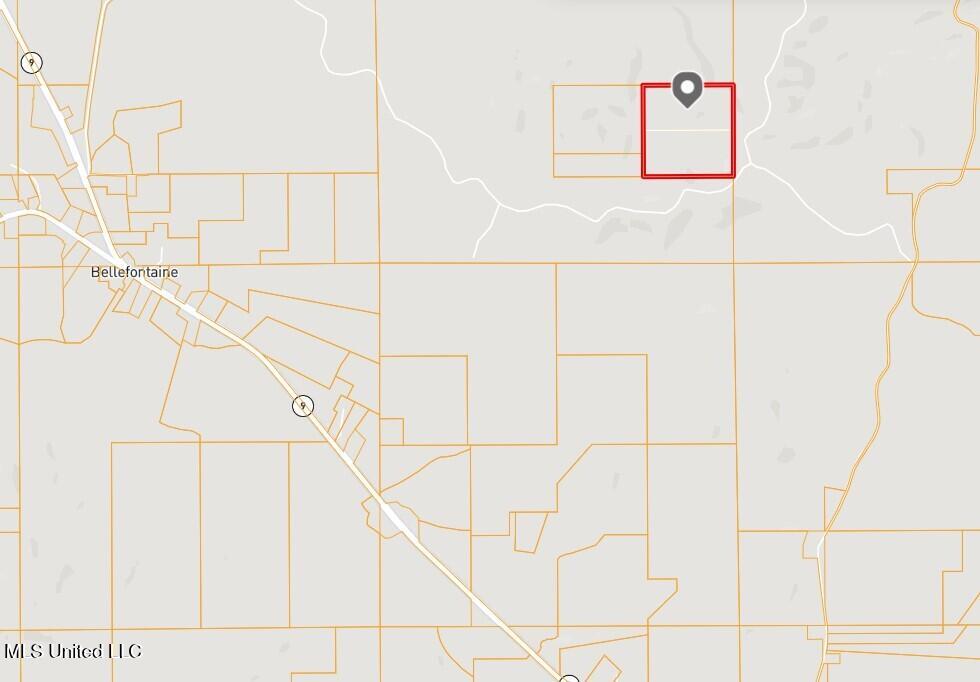 Tbd Pepper Town Road Eupora, MS 39744 - Photo 17 of 18 Screenshot 2025-06-07 095154