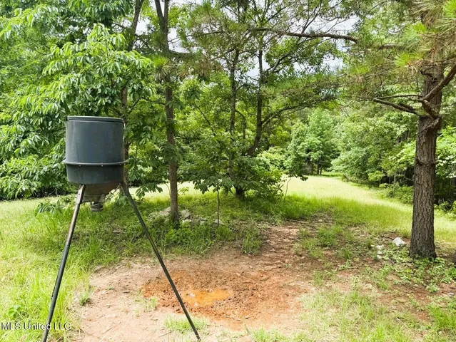 $118,000 | Tbd Pepper Town Road, Eupora, MS 39744