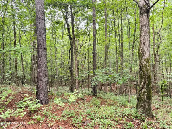 $109,500 | Tbd Pepper Town Road, Eupora, MS 39744