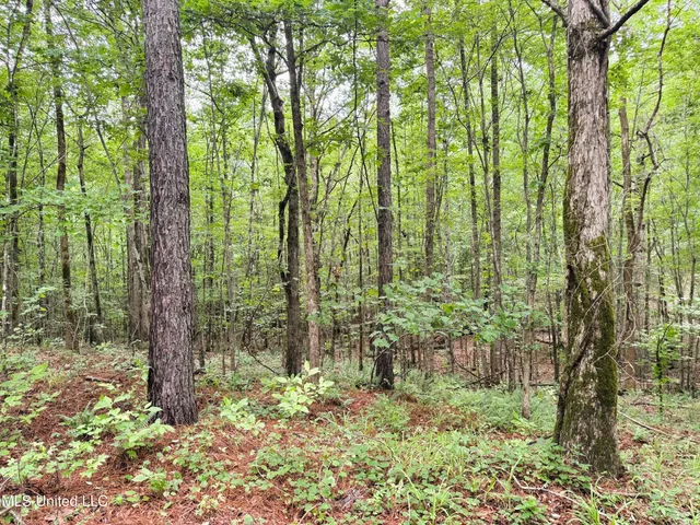 $118,000 | Tbd Pepper Town Road, Eupora, MS 39744