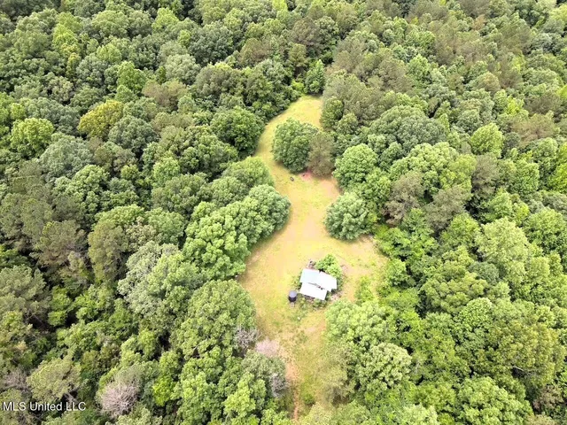 $118,000 | Tbd Pepper Town Road, Eupora, MS 39744