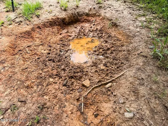 $118,000 | Tbd Pepper Town Road, Eupora, MS 39744