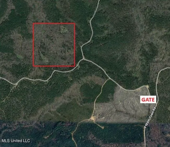 $118,000 | Tbd Pepper Town Road, Eupora, MS 39744