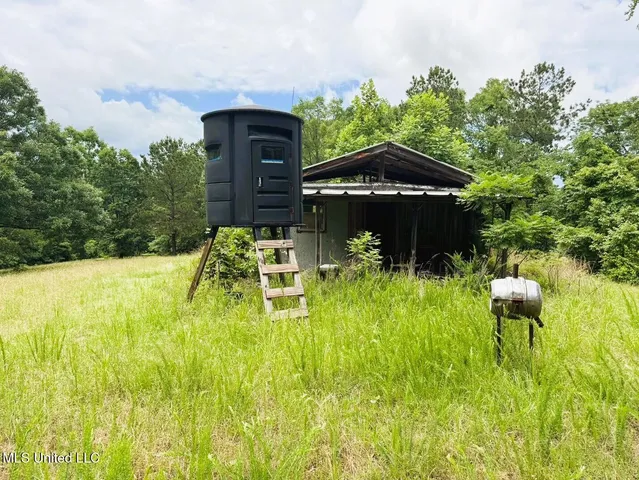 $118,000 | Tbd Pepper Town Road, Eupora, MS 39744