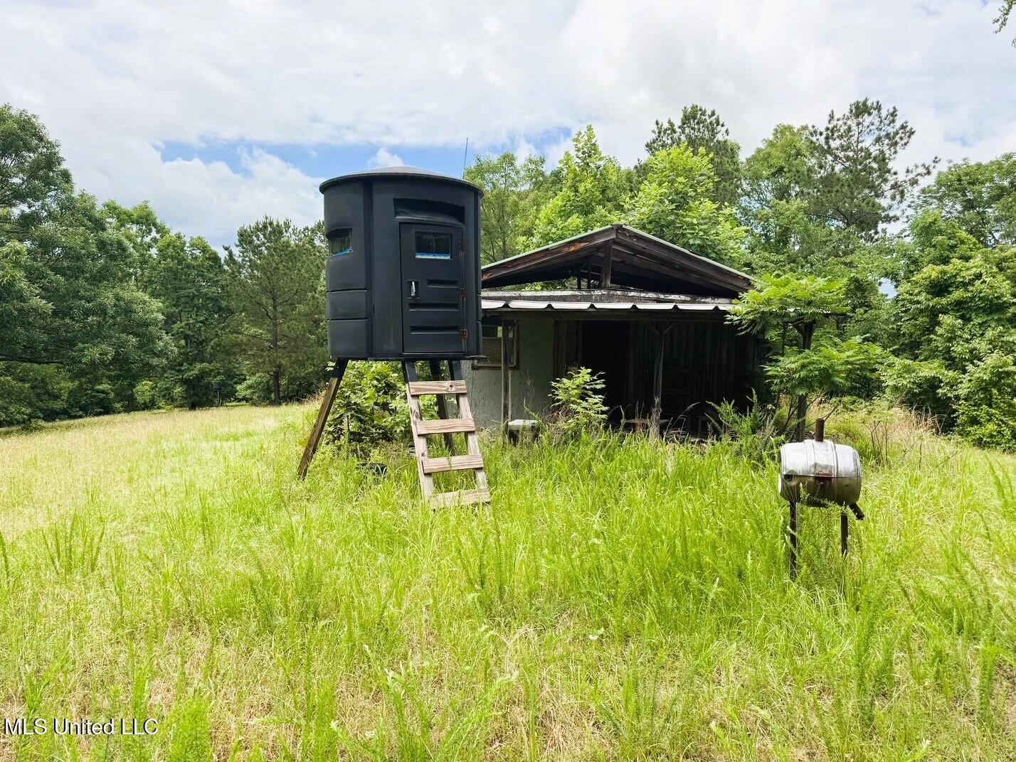 Tbd Pepper Town Road Eupora, MS 39744 - Photo 9 of 18 30