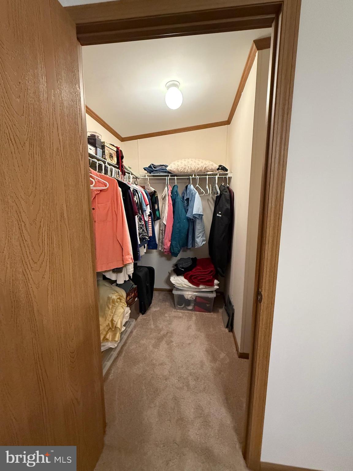 9347 Colonial Mill Drive Delmar, MD 21875 - Photo 14 of 33 a view of a storage and utility room