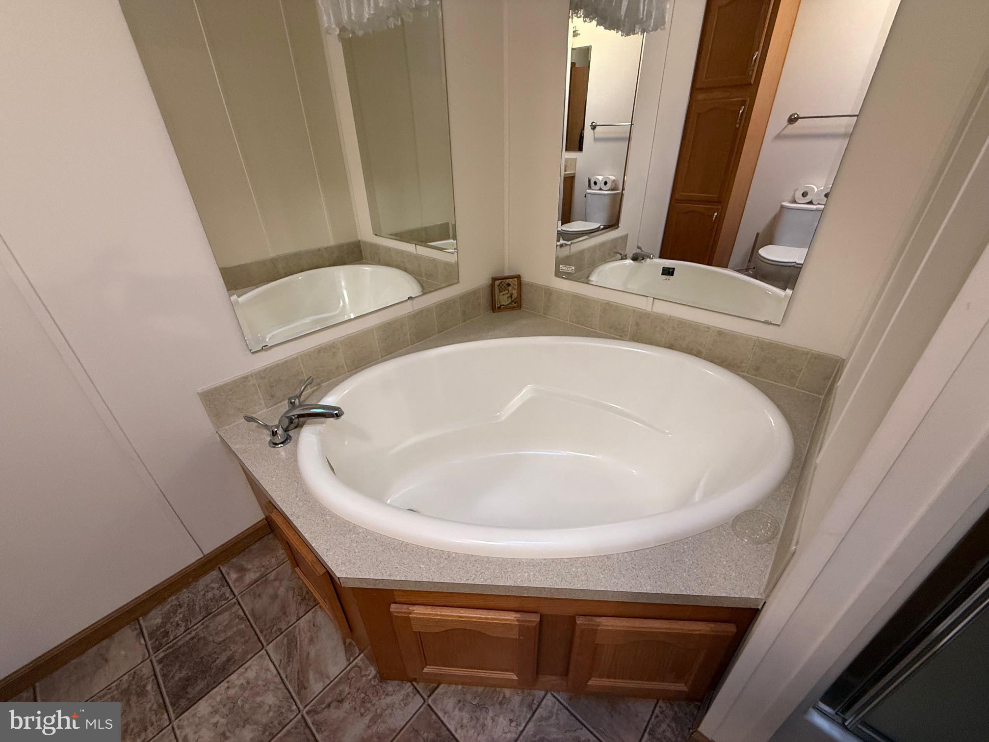 9347 Colonial Mill Drive Delmar, MD 21875 - Photo 16 of 33 a close view of tap