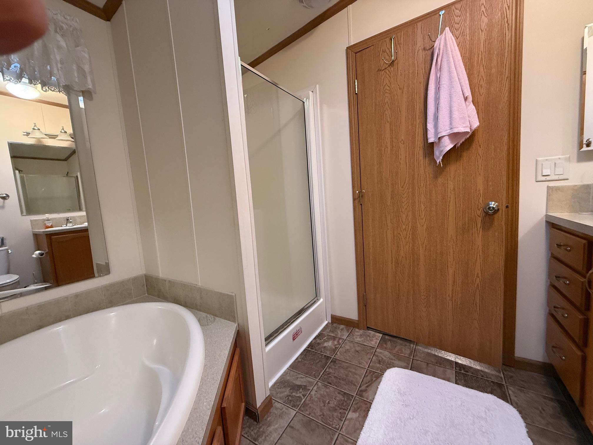 9347 Colonial Mill Drive Delmar, MD 21875 - Photo 17 of 33 a bathroom with a tub sink and mirror