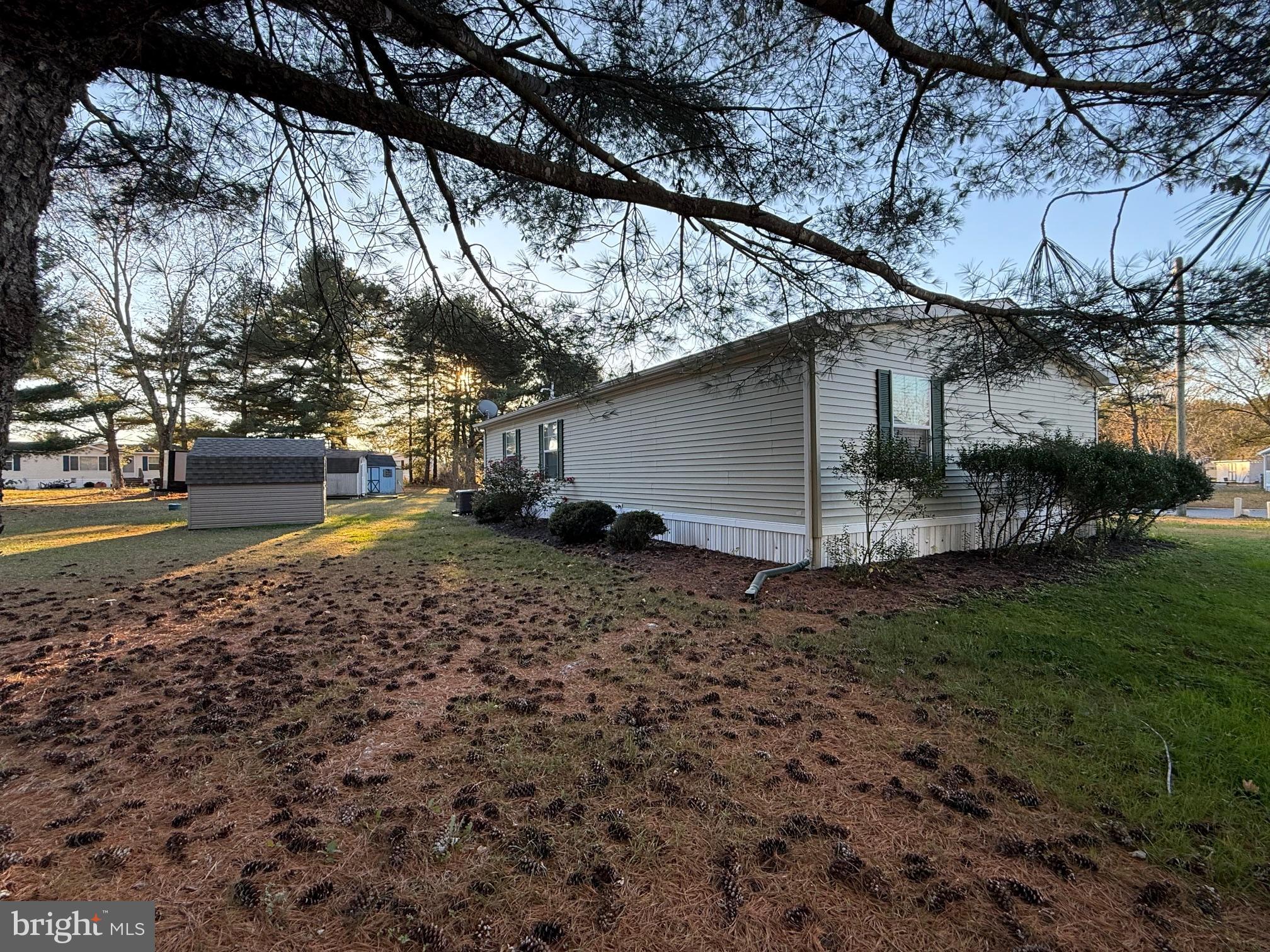 9347 Colonial Mill Drive Delmar, MD 21875 - Photo 27 of 33 a view of a yard with plants and a large tree