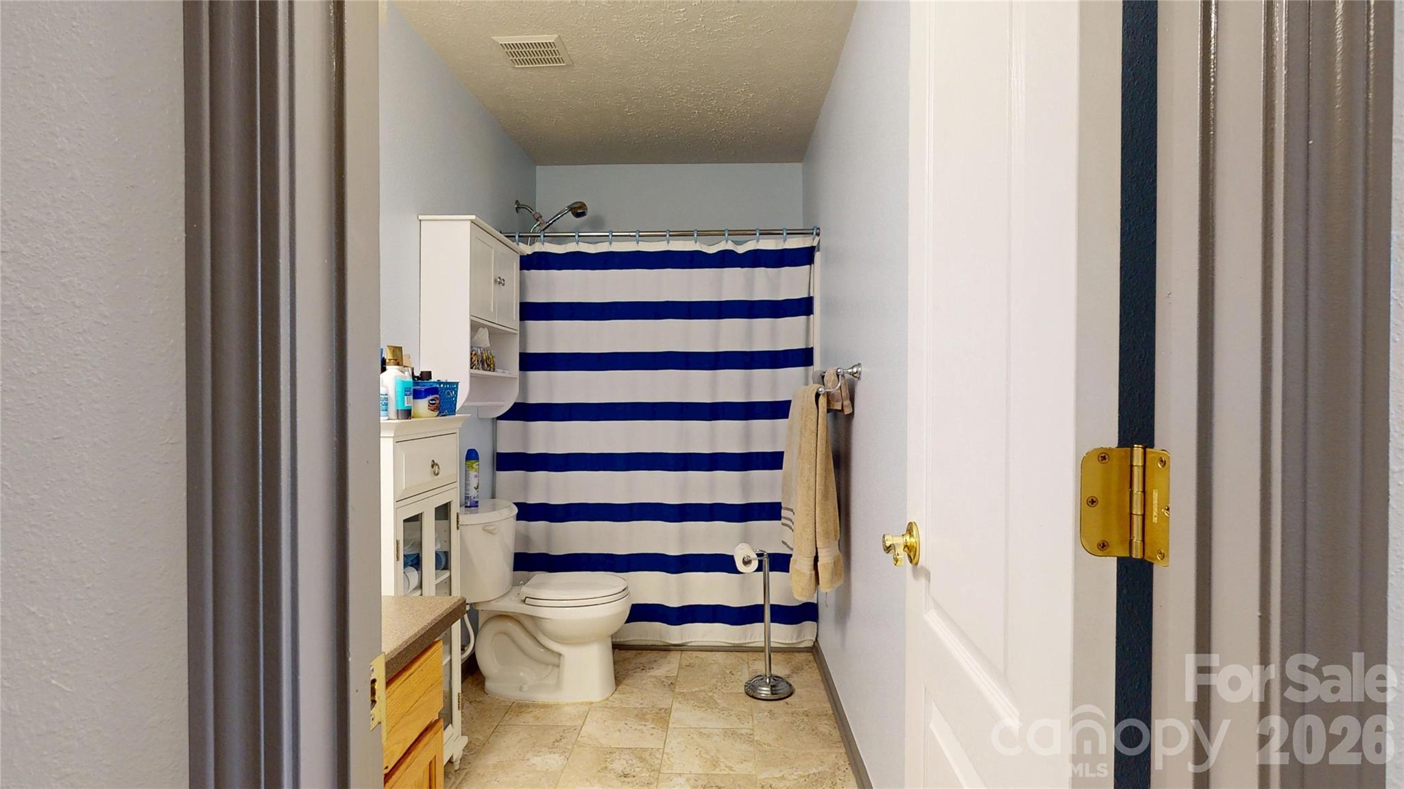 746 Ladino Lane Clover, SC 29710 - Photo 33 of 43