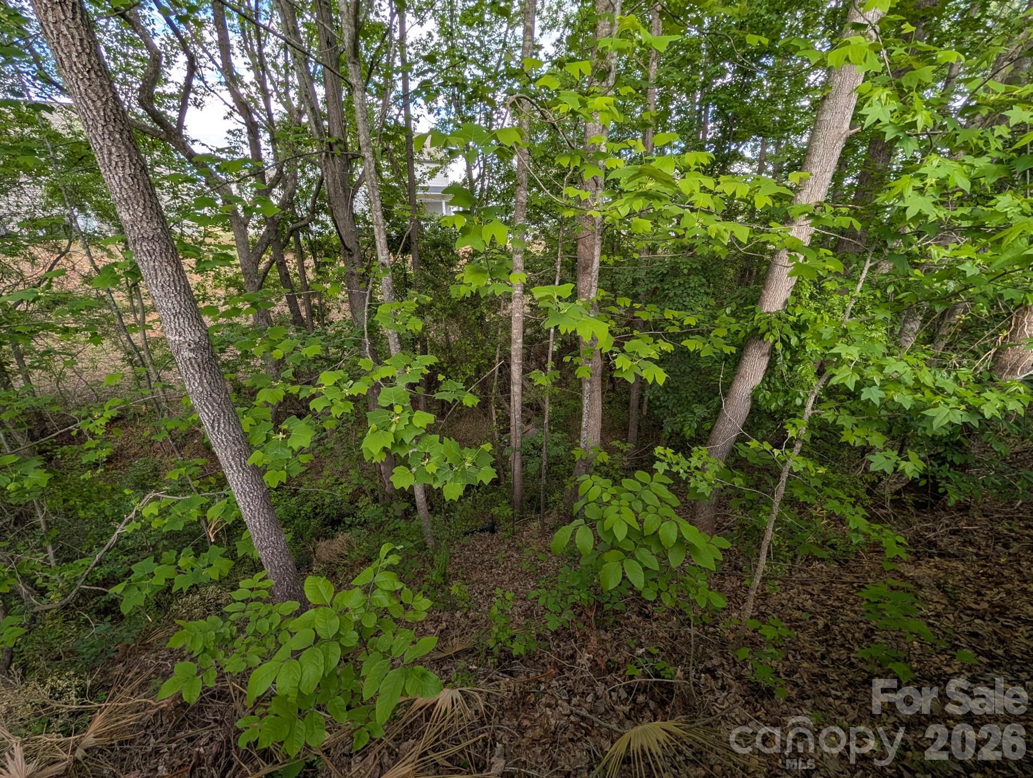 746 Ladino Lane Clover, SC 29710 - Photo 42 of 43