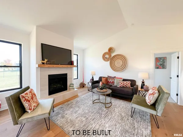a living room with furniture a rug and a fireplace