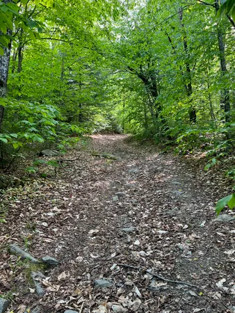 $110,000 | 60 Hutchinson Road, Linneus, ME 04730