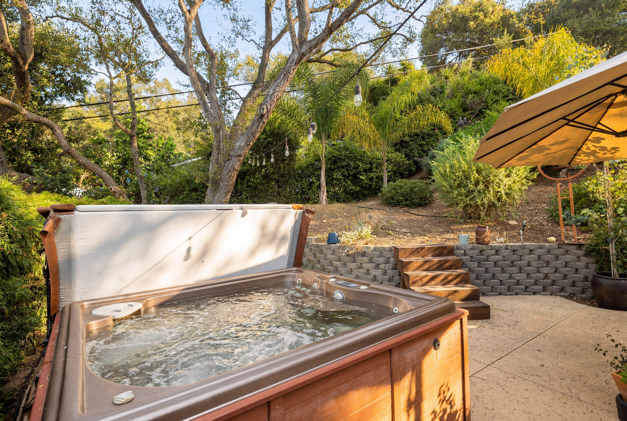 1352 Manitou Road Santa Barbara, CA 93101 - Photo 12 of 27 a view of a backyard with plants and large trees