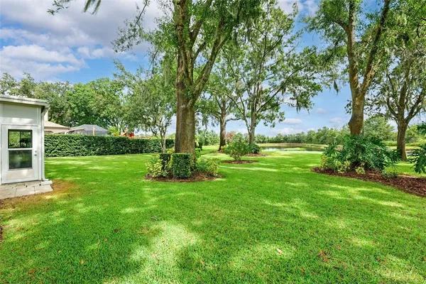 a view of a park with large trees
