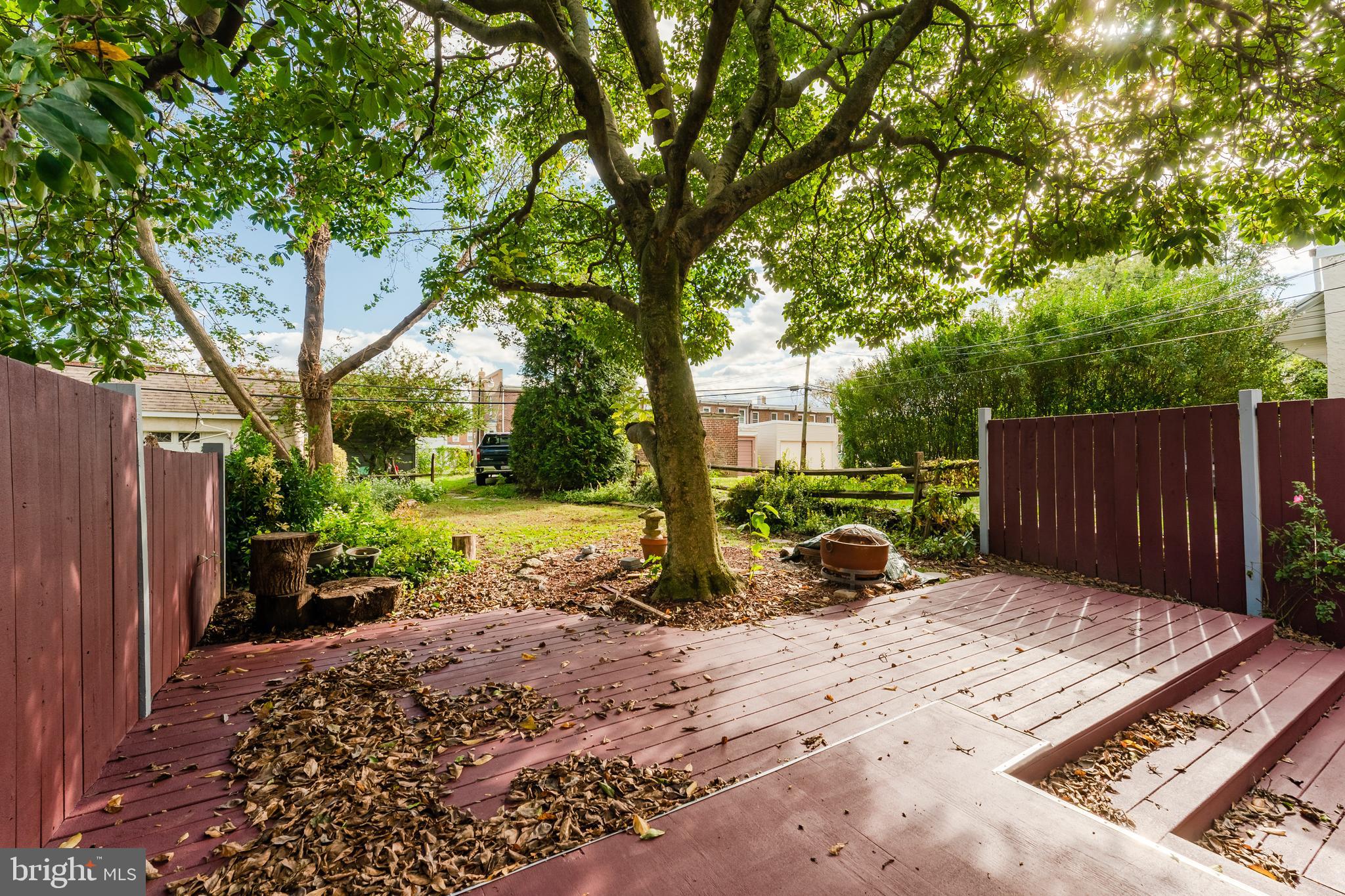 239 Roxborough Avenue Philadelphia, PA 19128 - Photo 3 of 45 backyard toward shed