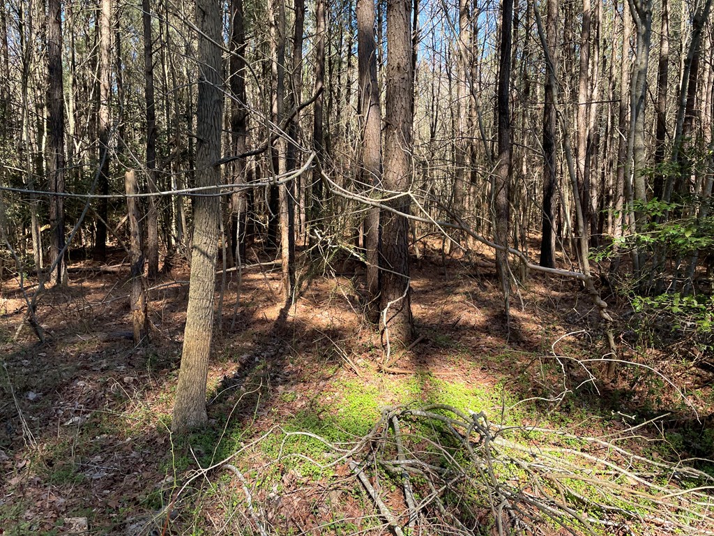 0 Clam Road Bloxom, VA 23308 - Photo 7 of 10