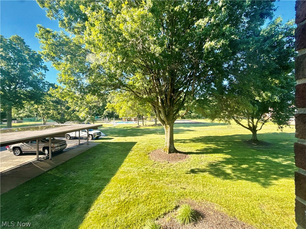 3000 North River Road Northeast Warren, OH 44483 - Photo 19 of 19