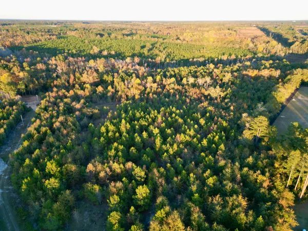 $915,000 | 3021 Salley Road, Salley, SC 29137