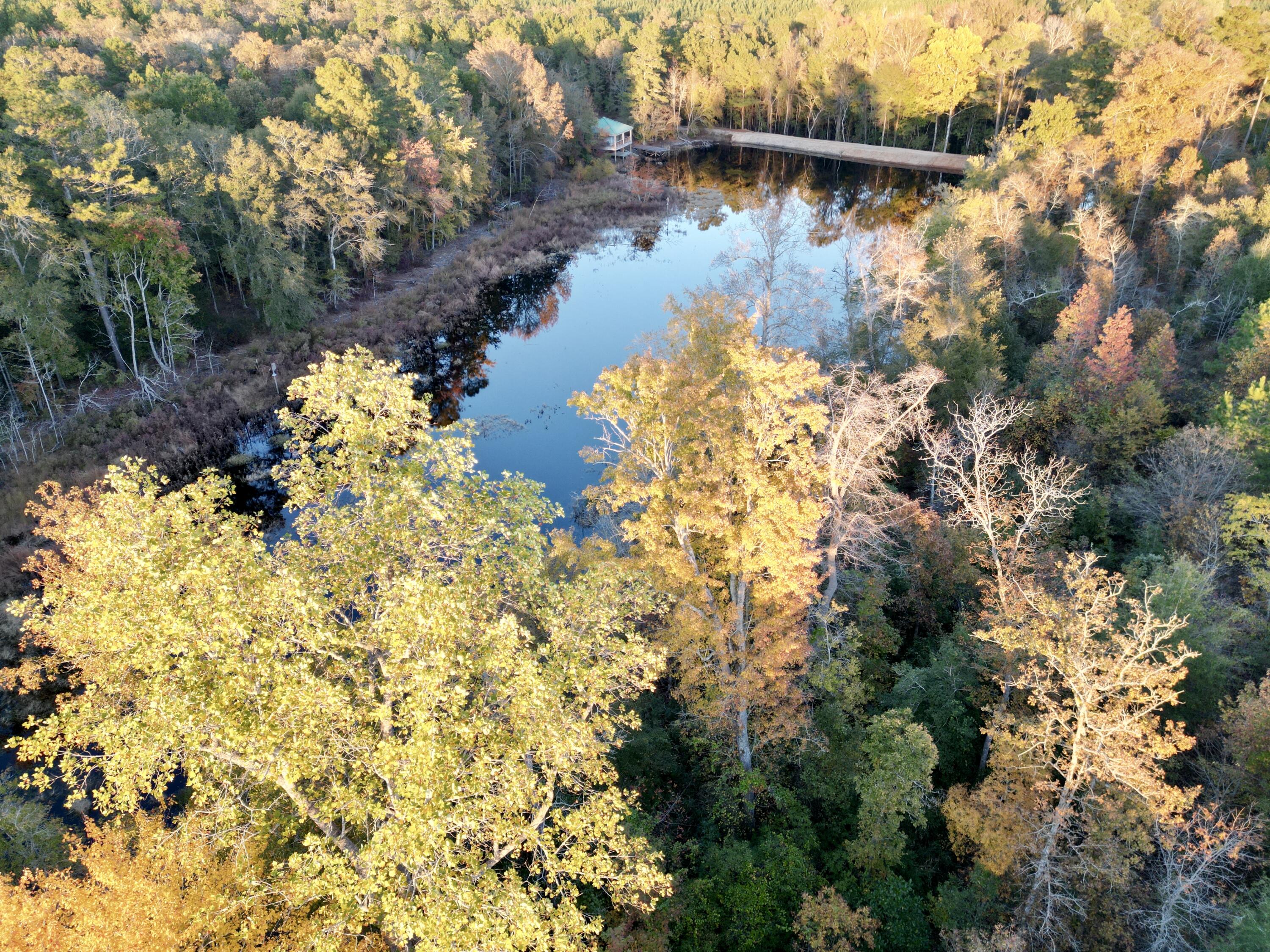 3021 Salley Road Salley, SC 29137 - Photo 3 of 100 2