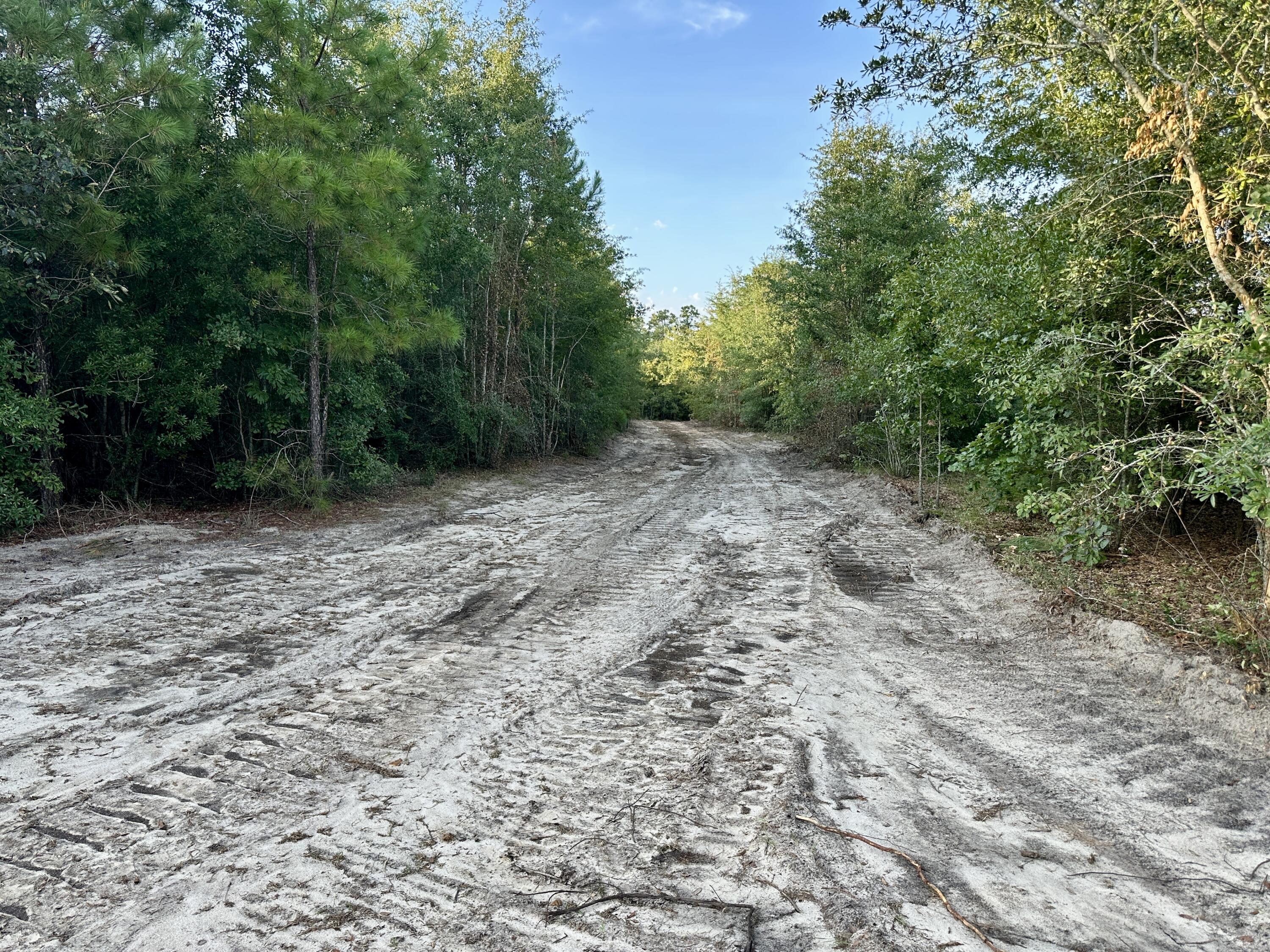 3021 Salley Road Salley, SC 29137 - Photo 33 of 100 31