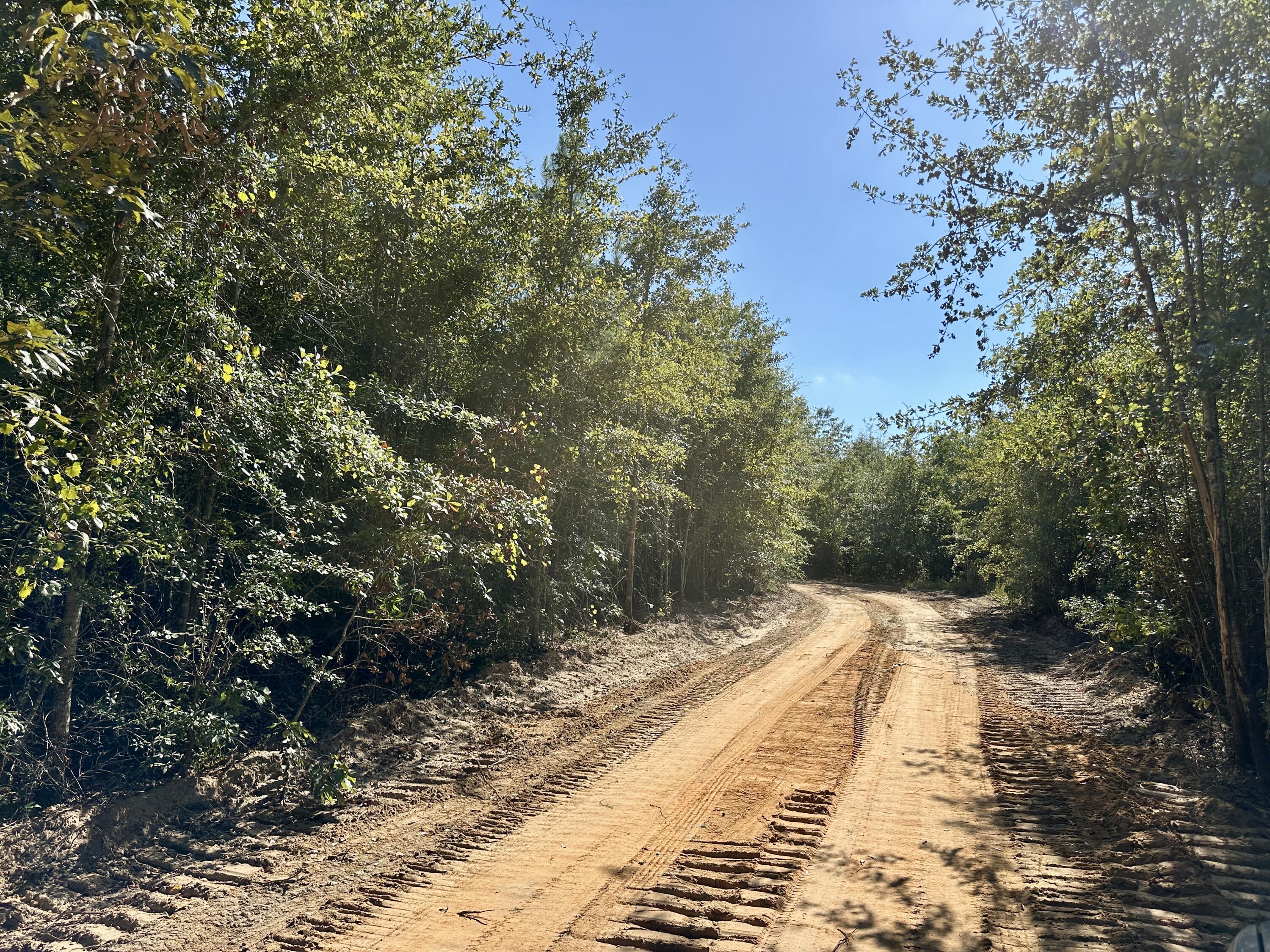 3021 Salley Road Salley, SC 29137 - Photo 36 of 100 45