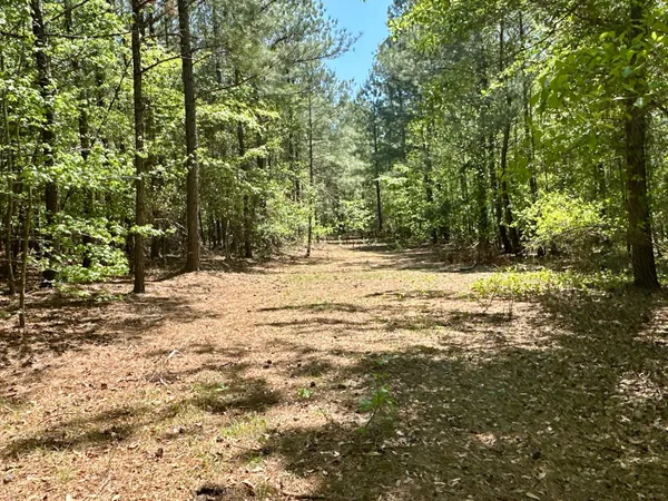 $915,000 | 3021 Salley Road, Salley, SC 29137