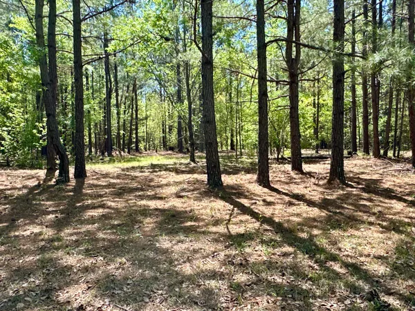 $915,000 | 3021 Salley Road, Salley, SC 29137