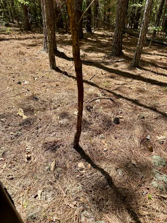 $915,000 | 3021 Salley Road, Salley, SC 29137