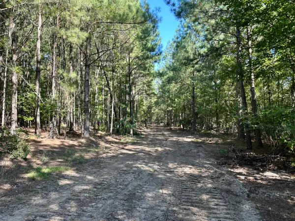 $915,000 | 3021 Salley Road, Salley, SC 29137