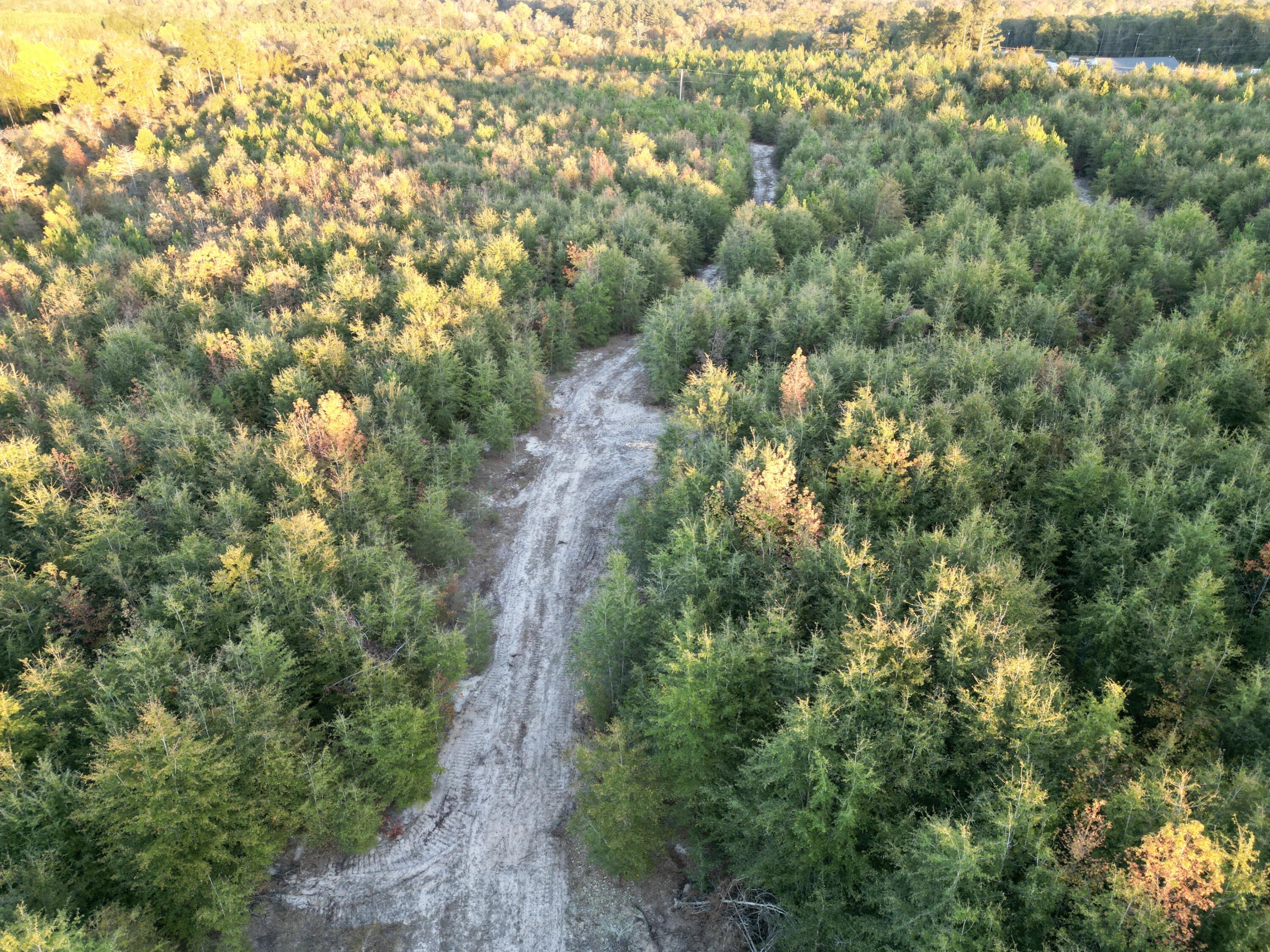 3021 Salley Road Salley, SC 29137 - Photo 4 of 100 3