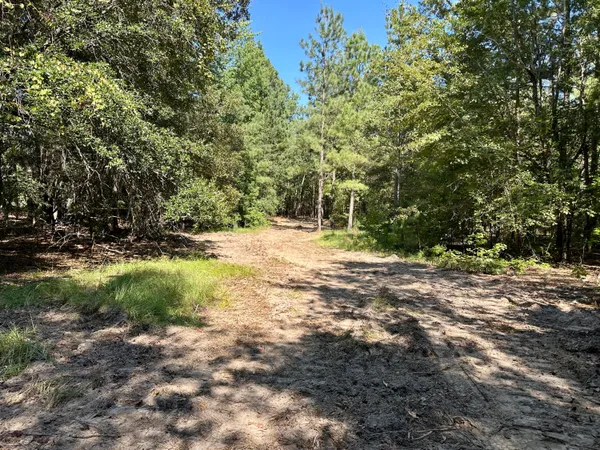 $915,000 | 3021 Salley Road, Salley, SC 29137