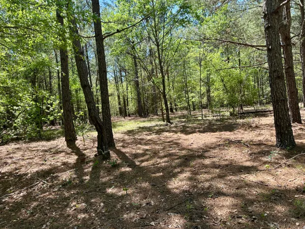 $915,000 | 3021 Salley Road, Salley, SC 29137