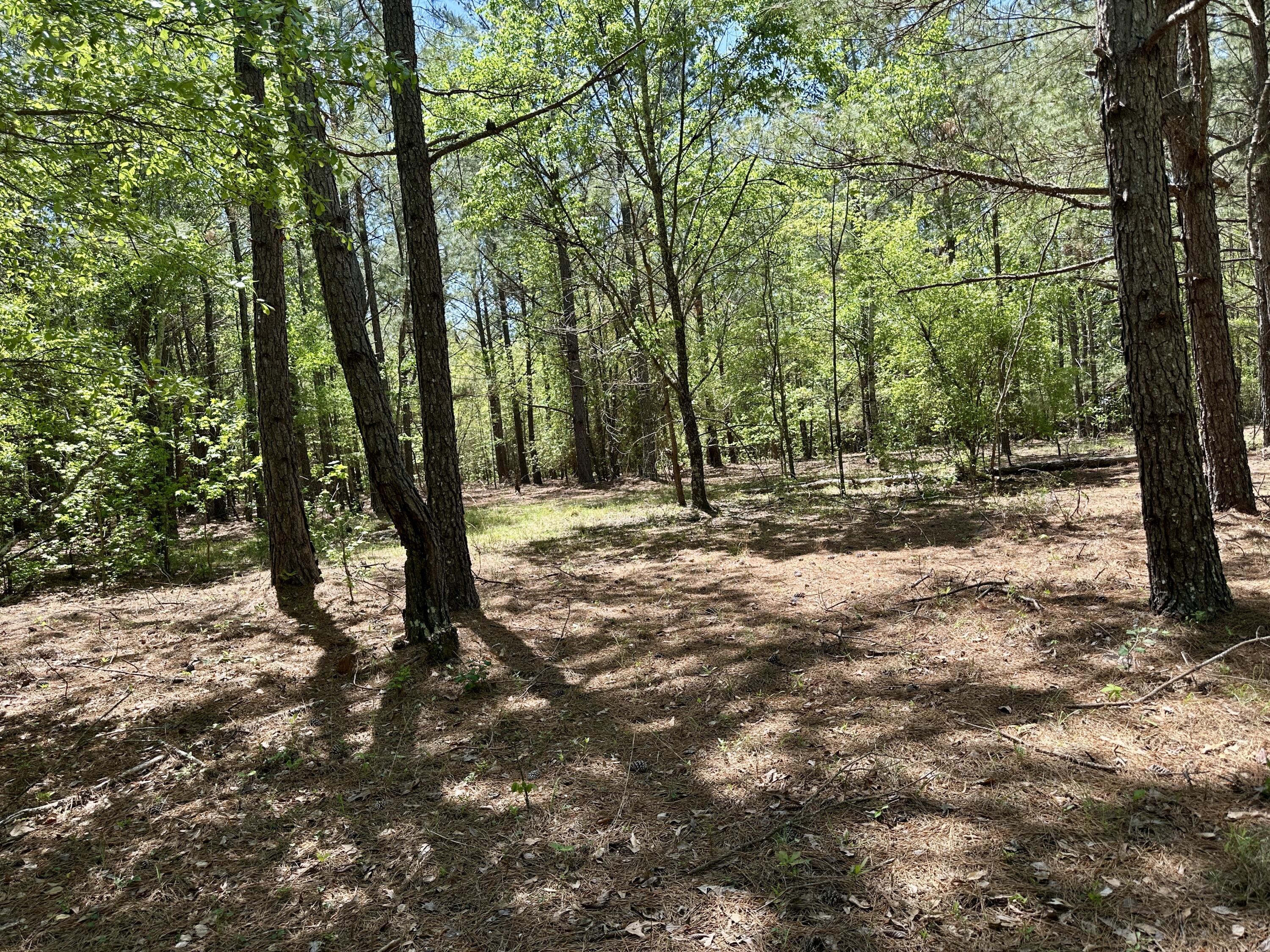 3021 Salley Road Salley, SC 29137 - Photo 42 of 100 51