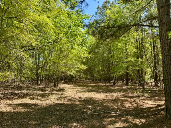 $915,000 | 3021 Salley Road, Salley, SC 29137