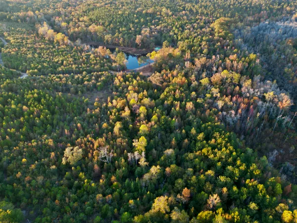 $915,000 | 3021 Salley Road, Salley, SC 29137