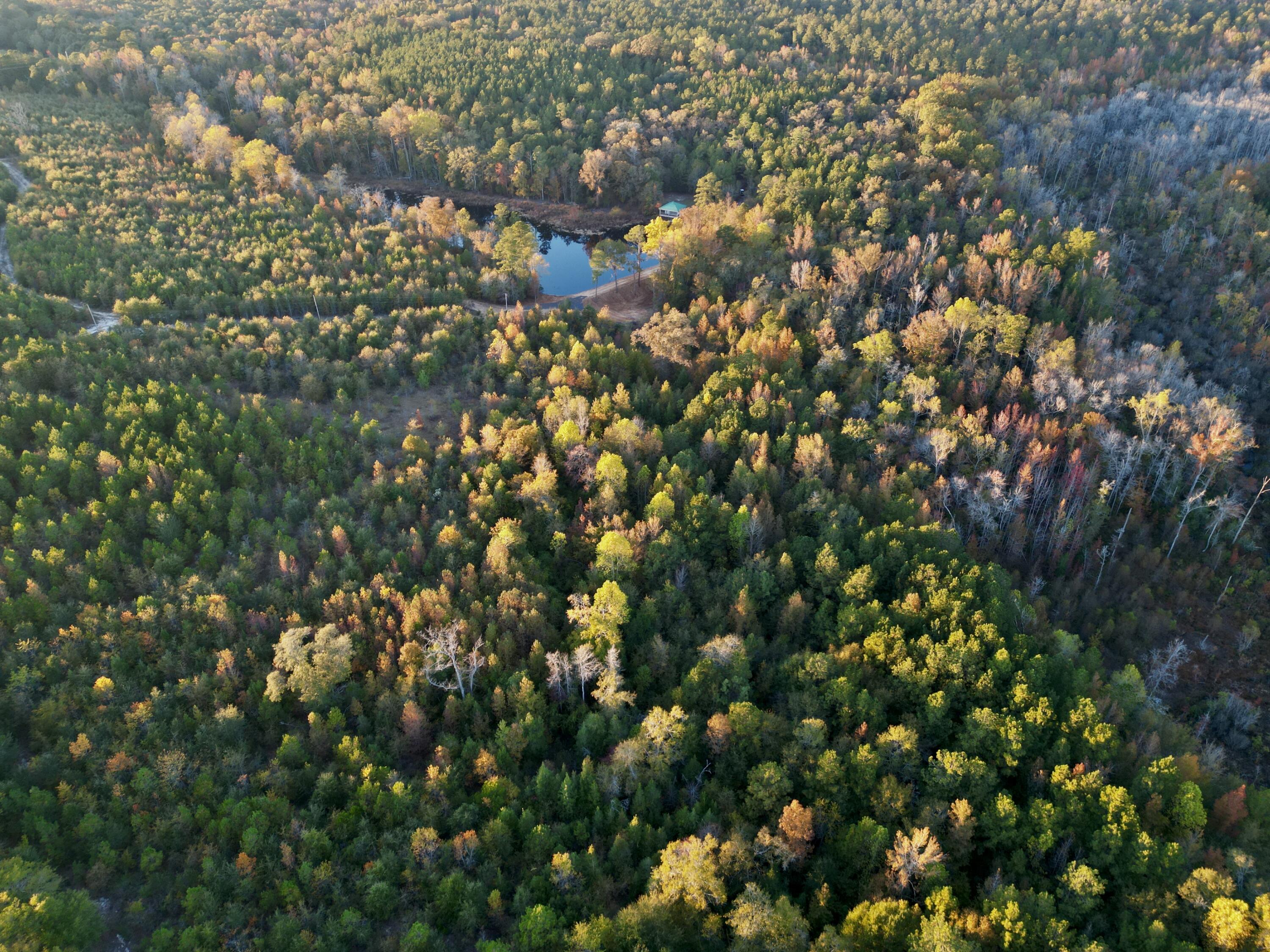 3021 Salley Road Salley, SC 29137 - Photo 49 of 100 58