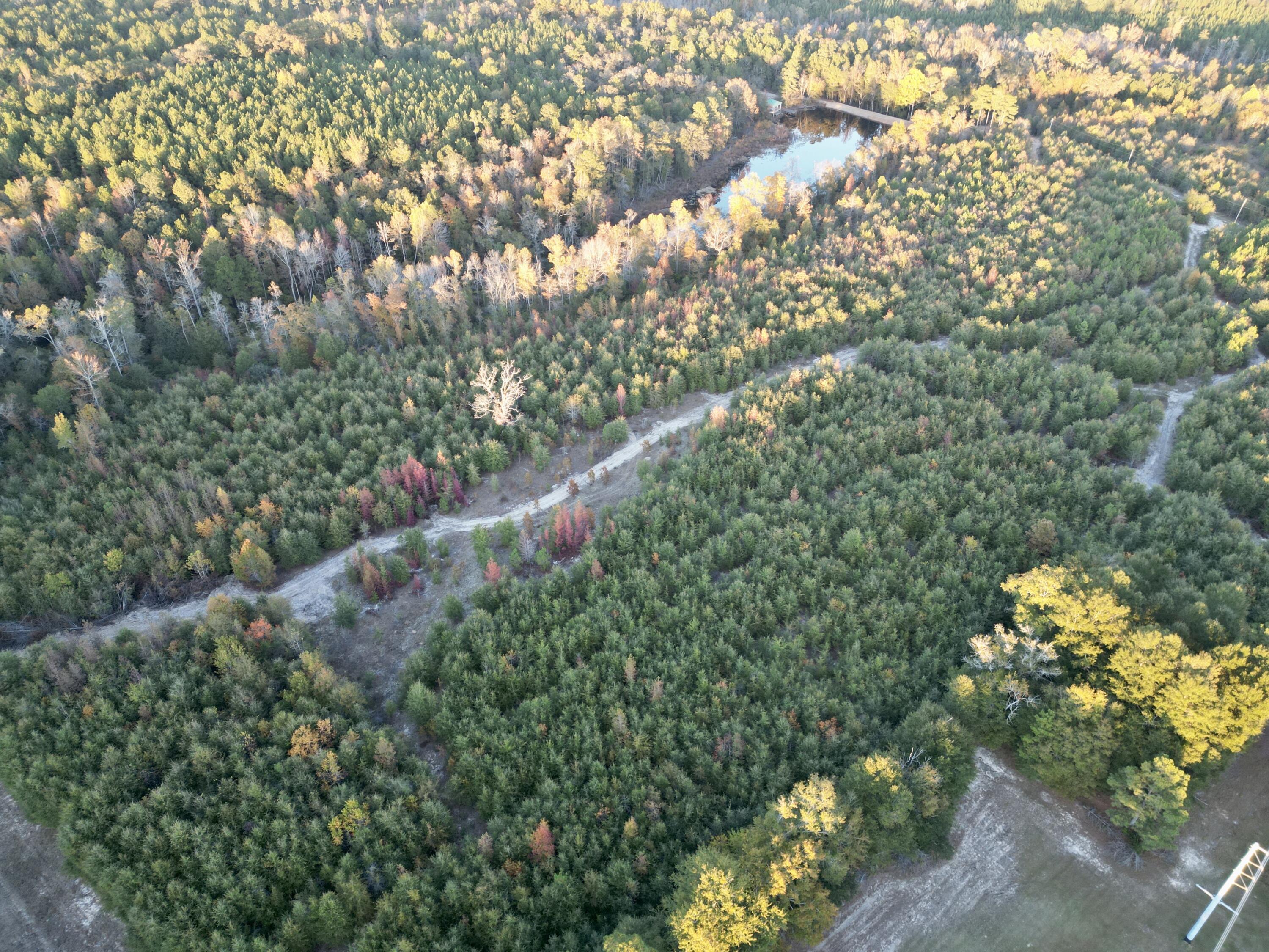 3021 Salley Road Salley, SC 29137 - Photo 51 of 100 60