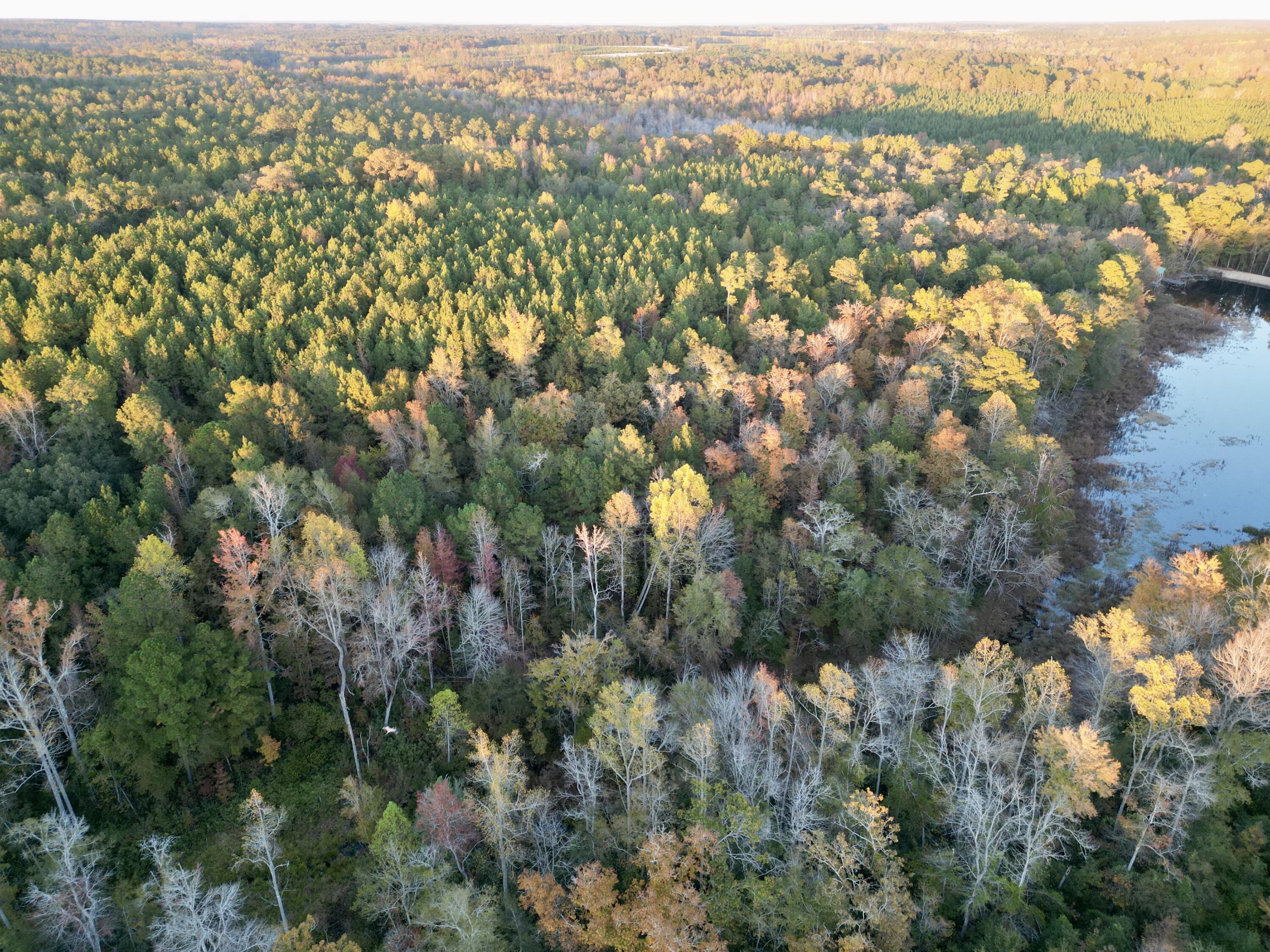 3021 Salley Road Salley, SC 29137 - Photo 52 of 100 61