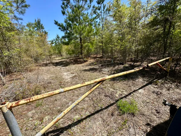 $915,000 | 3021 Salley Road, Salley, SC 29137