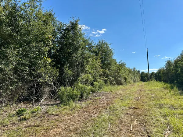 $915,000 | 3021 Salley Road, Salley, SC 29137