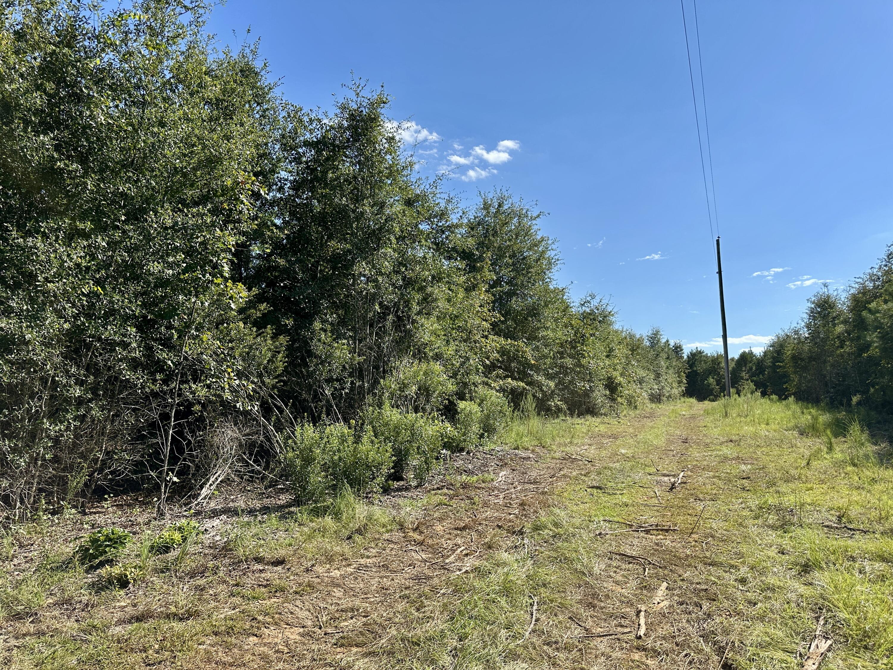 3021 Salley Road Salley, SC 29137 - Photo 58 of 100 68