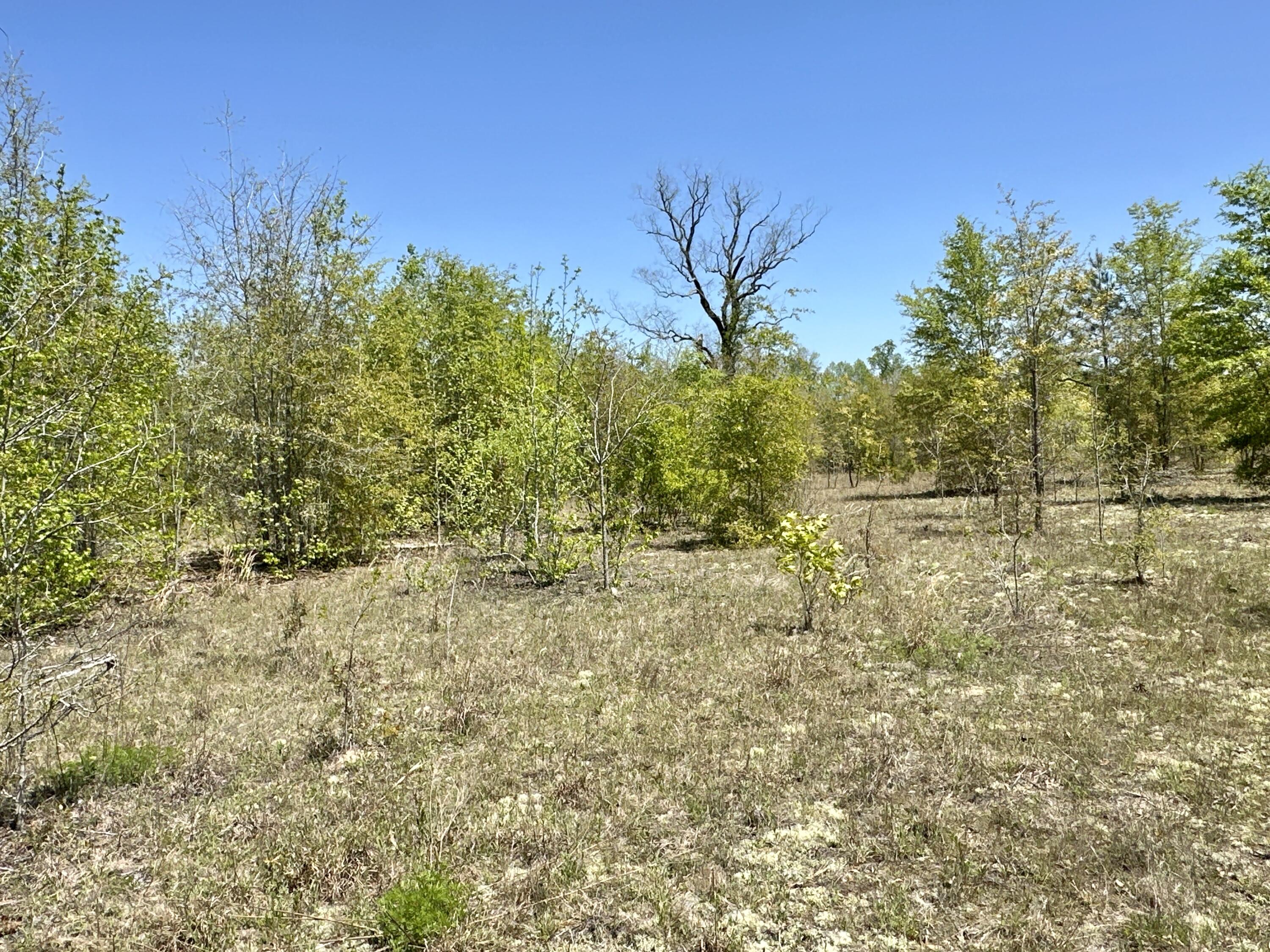 3021 Salley Road Salley, SC 29137 - Photo 59 of 100 69