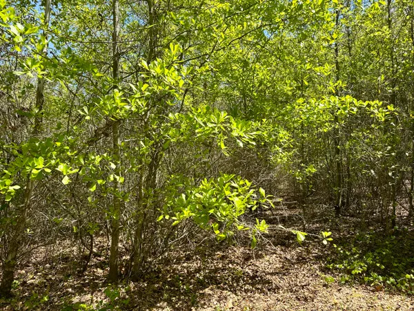 $915,000 | 3021 Salley Road, Salley, SC 29137